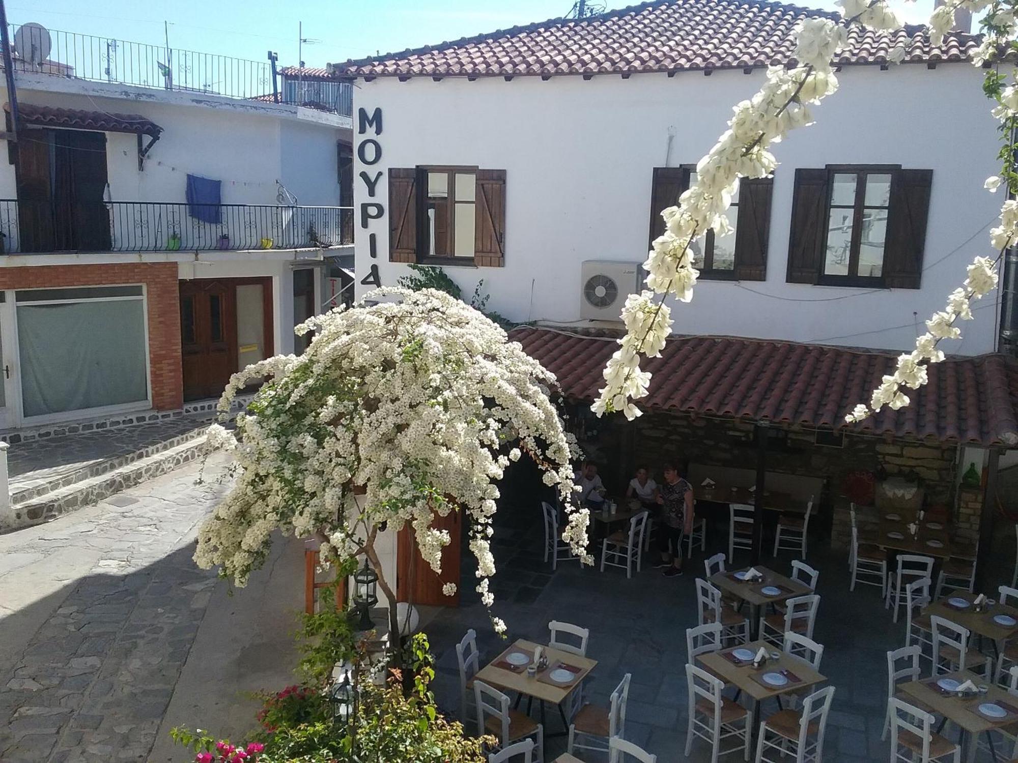 Mouria Hotel Skiathos-stad Buitenkant foto